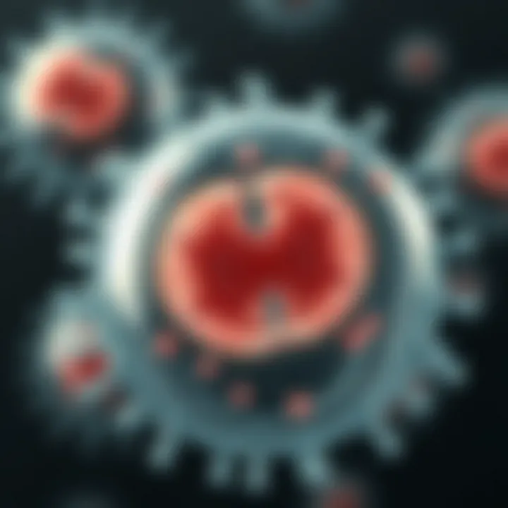 Bacterial cell dividing into two identical daughter cells through binary fission