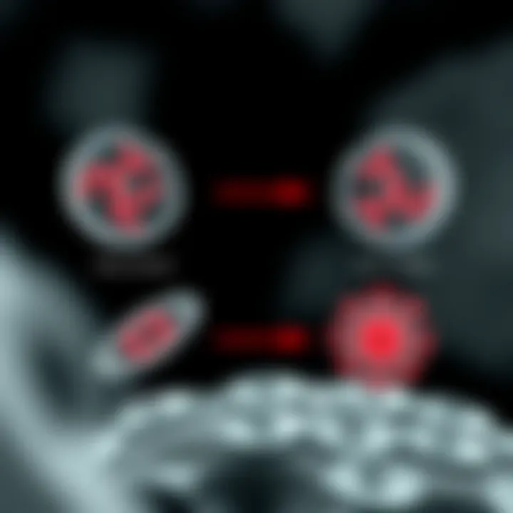 Sequential development stages of binary fission showing chromosome replication and cell splitting