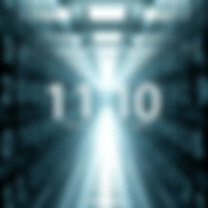 Diagram illustrating binary representation of an integer value