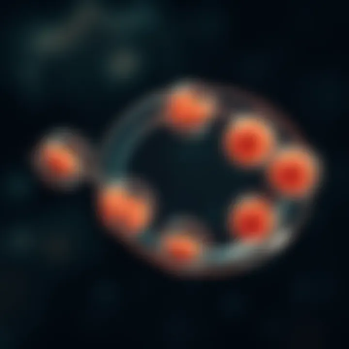 Illustration highlighting different stages of binary fission in a single-celled organism