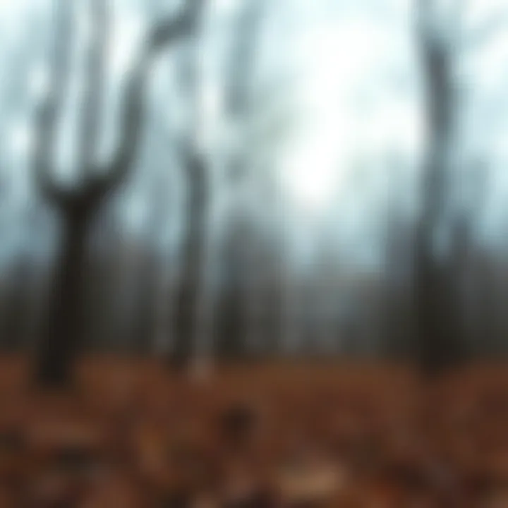 Diagram illustrating the structure of a binary search tree with nodes arranged to show optimal search paths